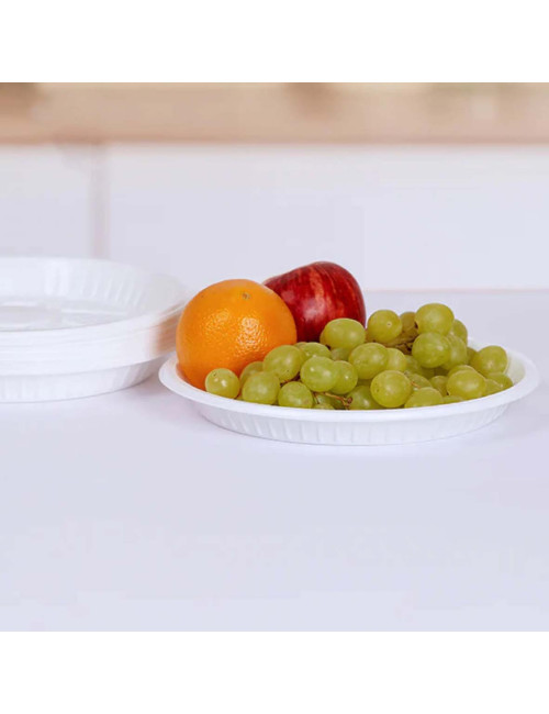 490005 ROUND PLASTIC PLATE, SIZE 18