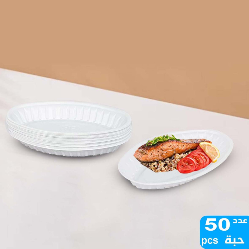 050252 OVAL PLASTIC PLATE NO. 1