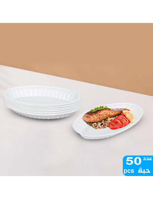 050252 OVAL PLASTIC PLATE NO. 1