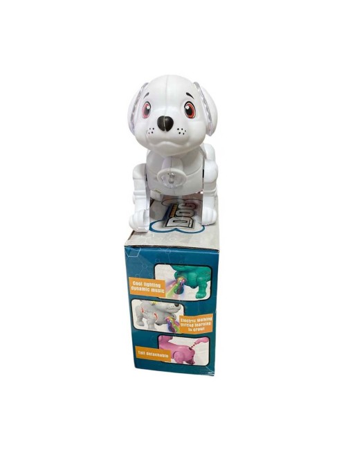 6906B leashing dog set