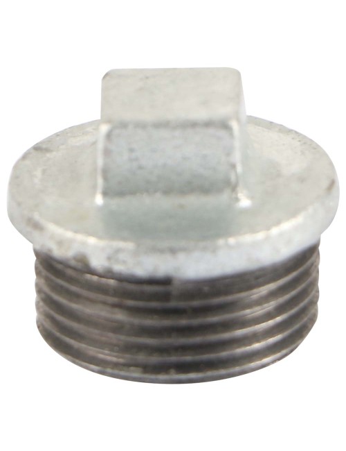GI PLUG 3/4"