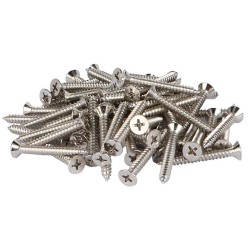 PHILLIPS SELF TAPPING SCREW 1" x 10
