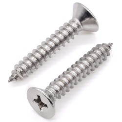 PHILLIPS SELF TAPPING SCREW 1/2" x 10