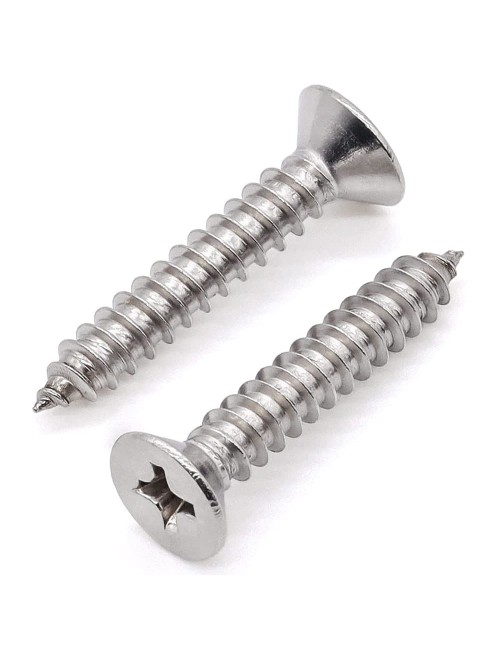 PHILLIPS SELF TAPPING SCREW 1/2" x 10