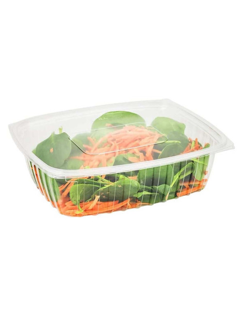 503926 ماعون مربع شفاف مع غطاء 10 حبة