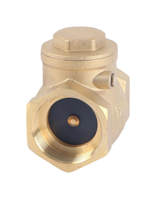 BRASS DOOR CLOSER 2"