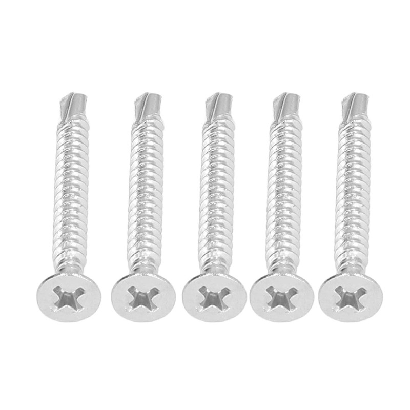 TWN DRYWAL SCREW WHITE DRILL POINT 4"×10