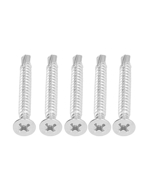 TWN DRYWAL SCREW WHITE DRILL POINT 4"×10