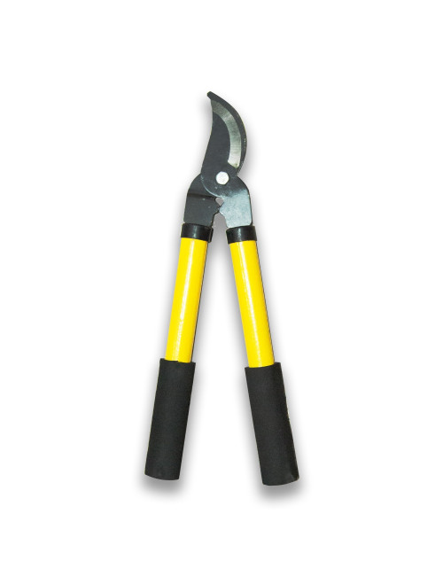 مقص غصن شجر صغير CHN