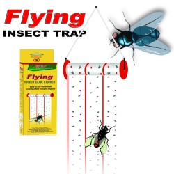 NL-30836 INSECT GLUE STICKER