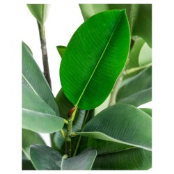 AP-81415 ARTIFICIAL DECORATIVE PLANT-TREE