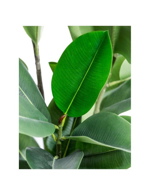 AP-81415 ARTIFICIAL DECORATIVE PLANT-TREE