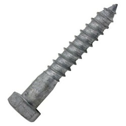 GI COACH SCREW 10 x 250 MM