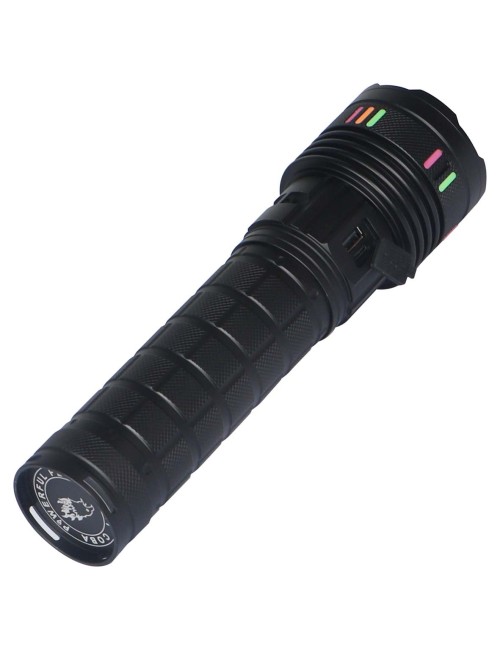 ED-33210/CB-B810 COBA FLASHLIGHT HIGH LIGHT 800W