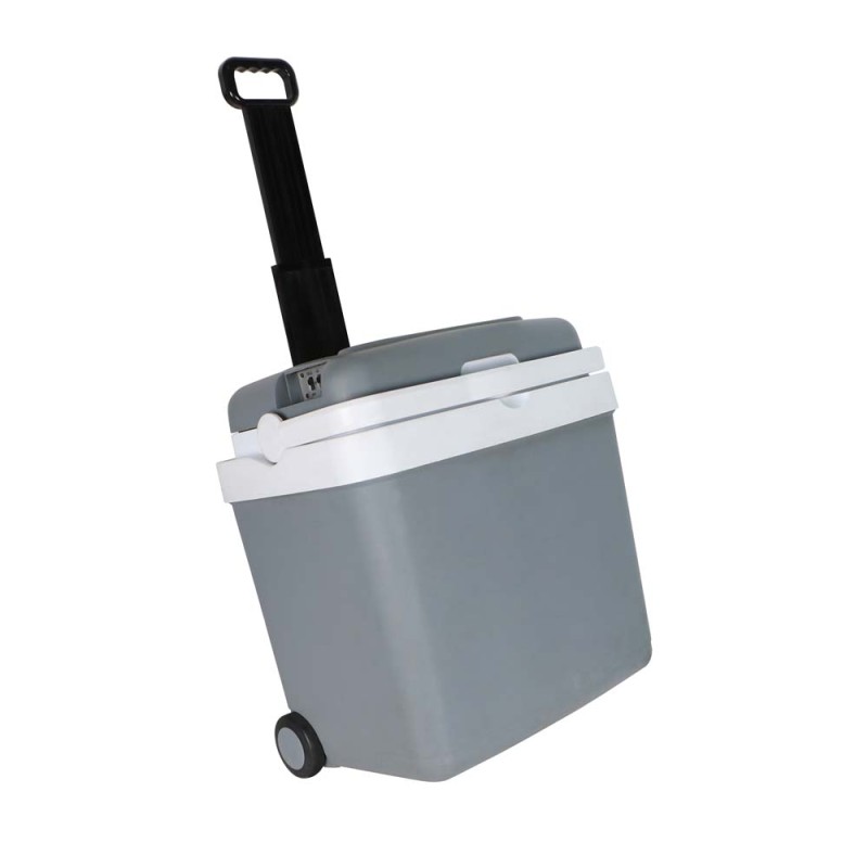 RFG-5033 AC/DC ثلاجة سيارة 33 لتر CHN