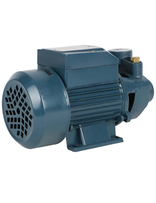 QB-60 WATER PUMP 0.5 HP