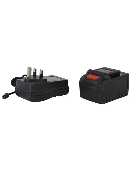 12C01 CORDLESS POLISHER 2 BATTERIES 125 MM 12V