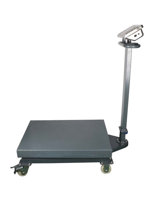 ELECTRONIC PLATFORM SCALE 1000 KG