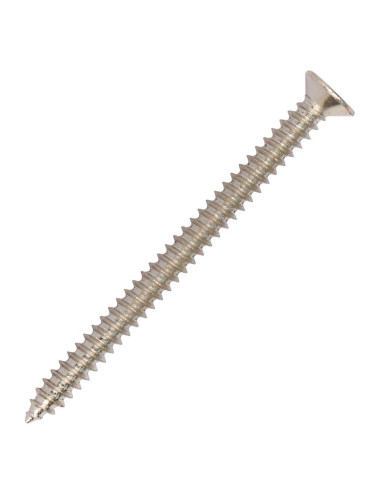 PHILLIPS SELF TAPPING SCREW 2-1/2" x 10