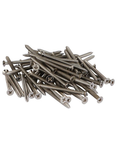 PHILLIPS SELF TAPPING SCREW 2-1/2" x 10