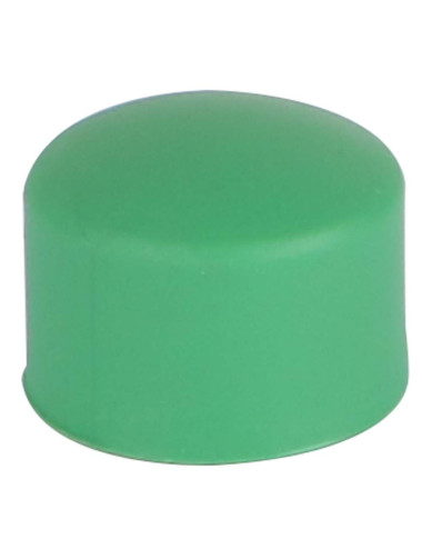 PPR CAP 3/4"