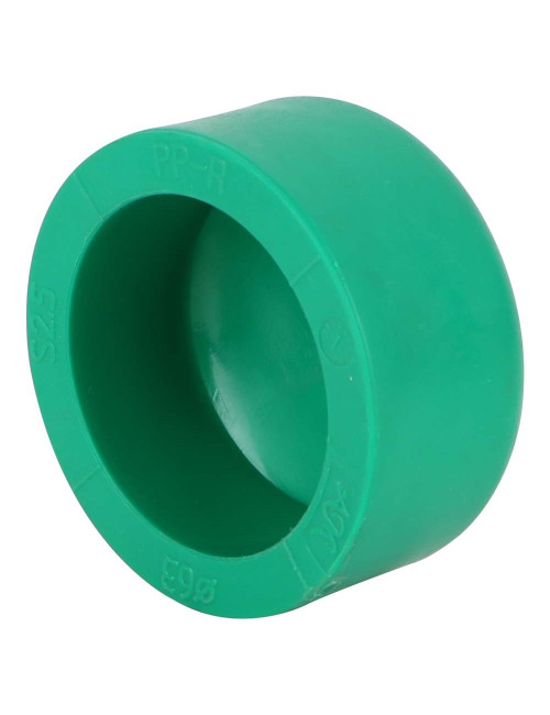 PPR PIPE CAP 2"