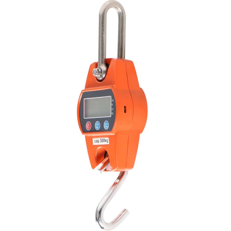 TY-2019 PORTABLE DIGITAL SCLAE 300 KG
