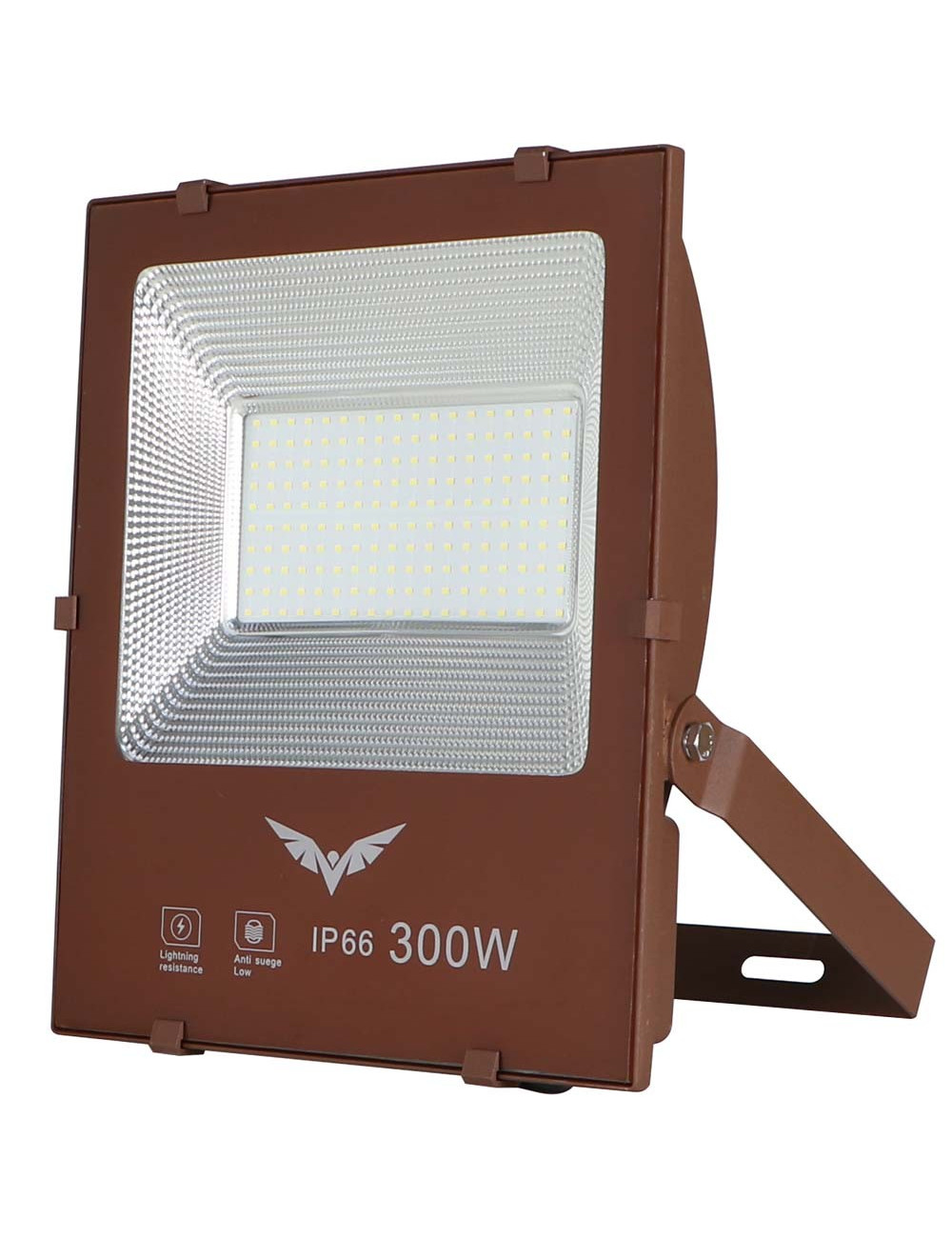 LED-300 W IP-66 كشاف