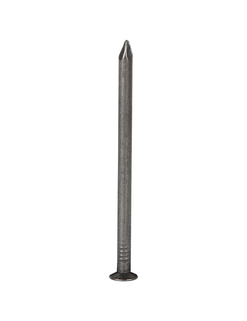 COMMON NAIL 2" x 12