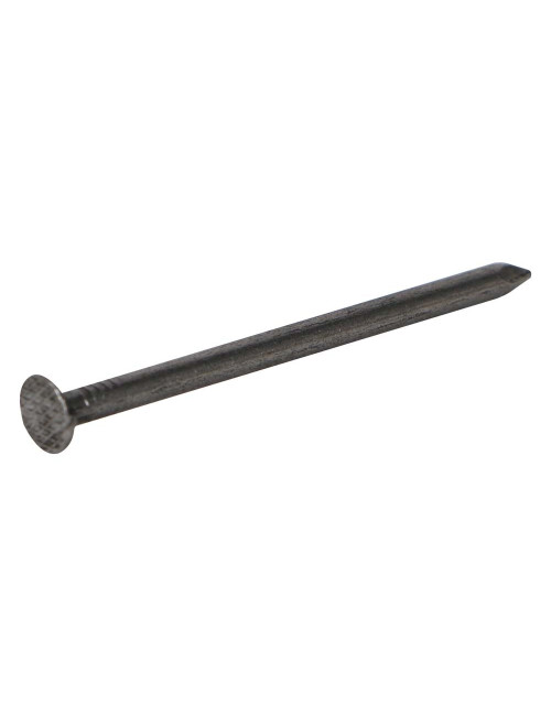 COMMON NAIL 2" x 12