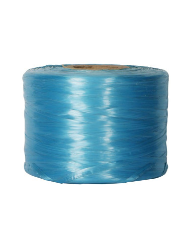 P.P. PACKING NYLON TWINE MULTICOLOUR 850 GMS