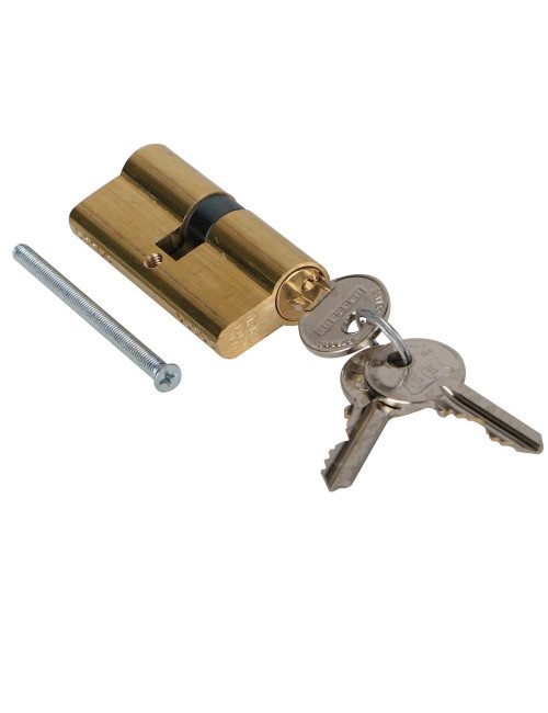 FACCHINETTI C1070140 ALUM. DOOR CYLINDER BRASS 69 MM