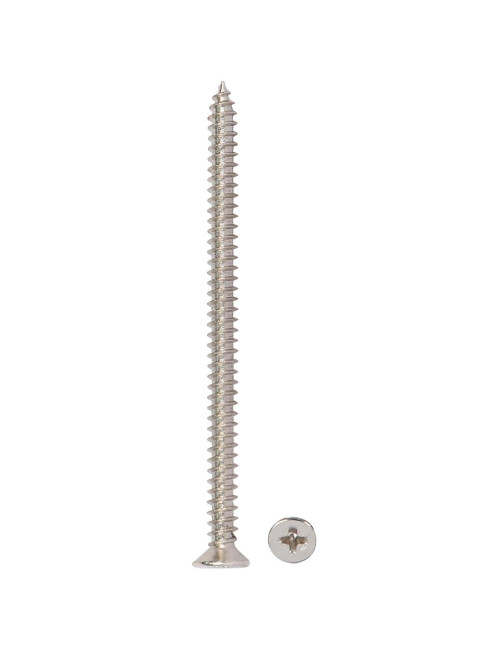 PHILLPS SELF TAPPING SCREW 3" x 10