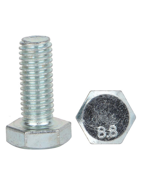 برغي حديد 25×10ملي جلفنايز IND