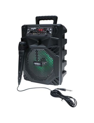 QS5801A/B مع ميكروفونW سماعة مكبر صوت بلوتوث 1000