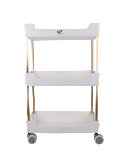 6200 THREE LAYER STORAGE RACK 40*22*67