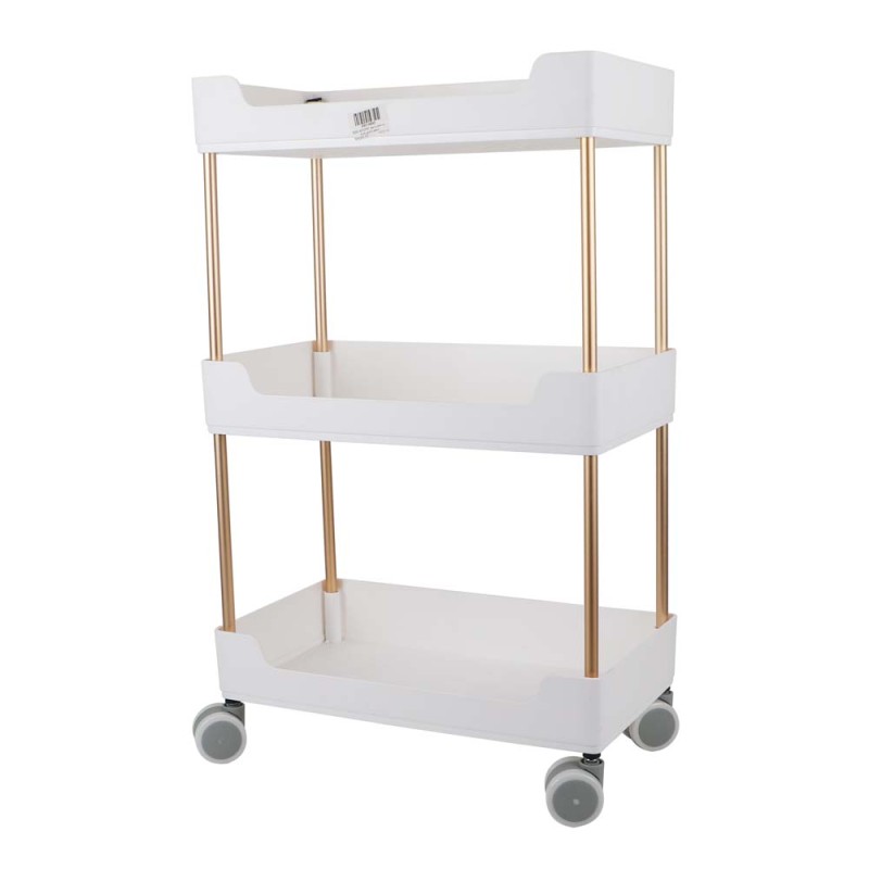 6200 THREE LAYER STORAGE RACK 40*22*67