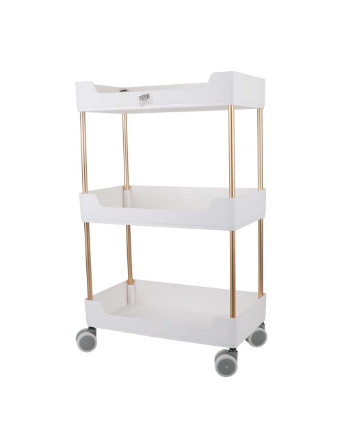6200 THREE LAYER STORAGE RACK 40*22*67