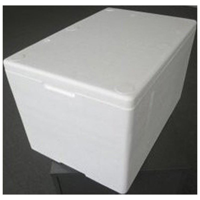 Polystyrene Foam Box 2002 (S14)