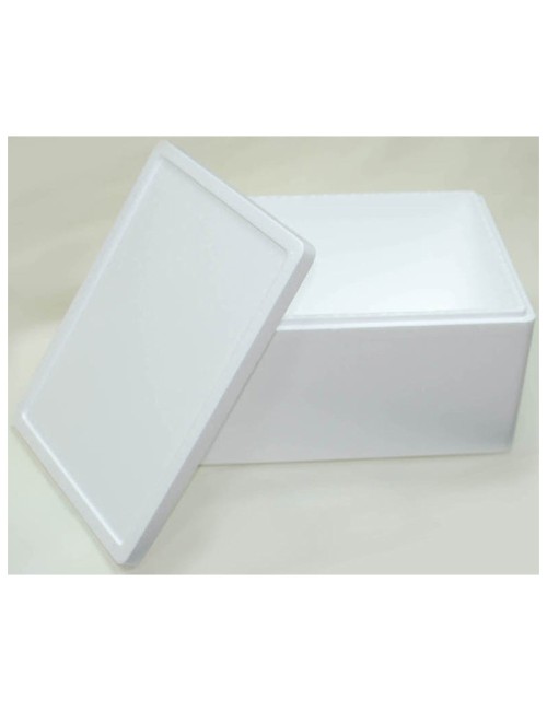 Polystyrene Foam Box 2002 (S14)