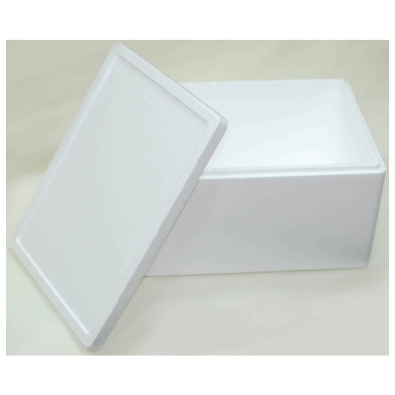 Polystyrene Foam Box 2003 (S14)
