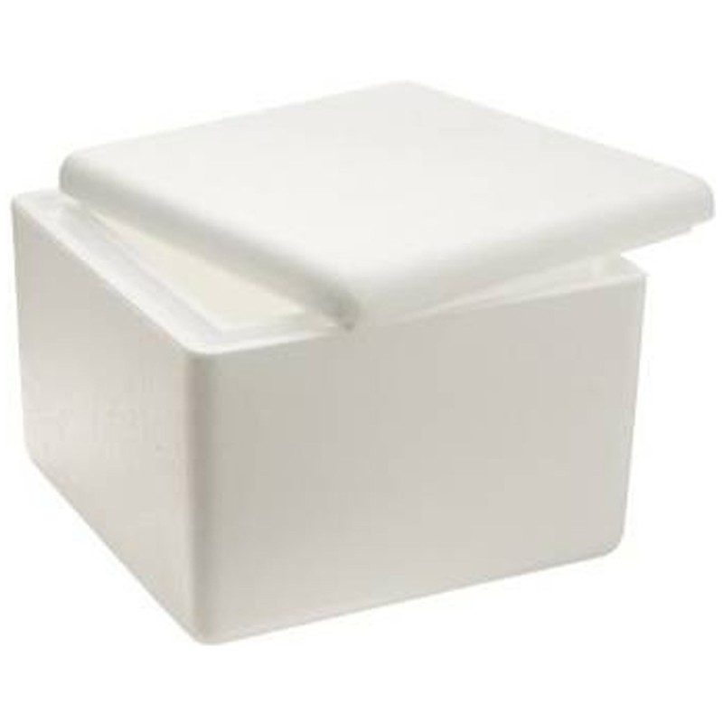 Polystyrene Foam Box 2003 (S14)