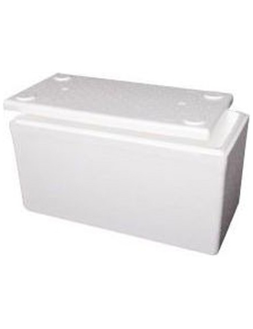 Polystyrene Foam Box 2003 (S14)