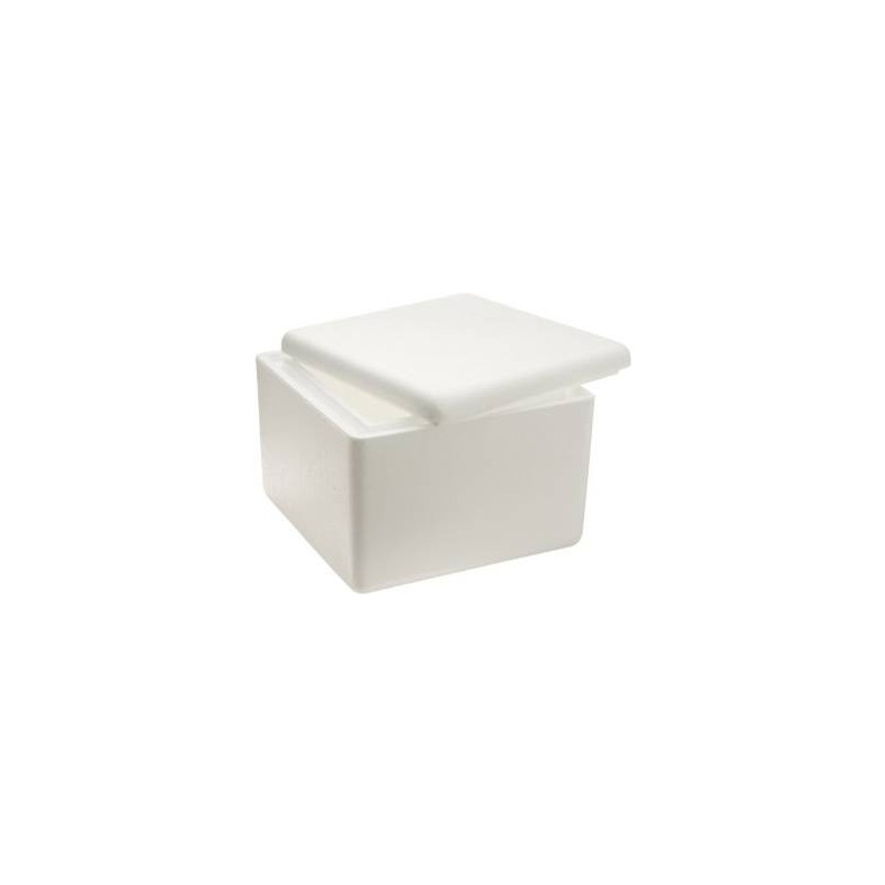 Polystyrene Foam Box 2004 (S14)