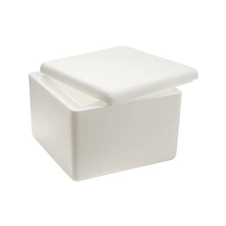 Polystyrene Foam Box 2004 (S14)