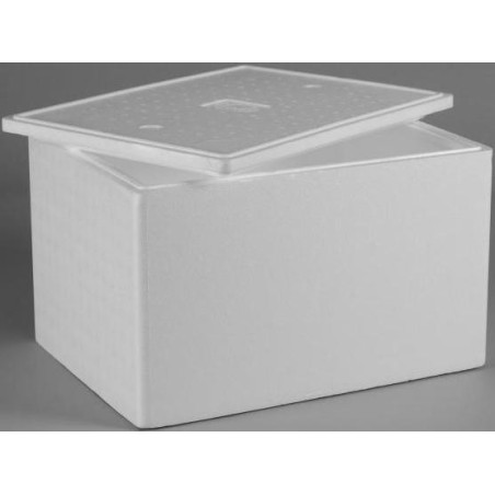 Polystyrene Foam Box 2004 (S14)