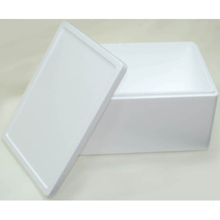 Polystyrene Foam Box 2004 (S14)