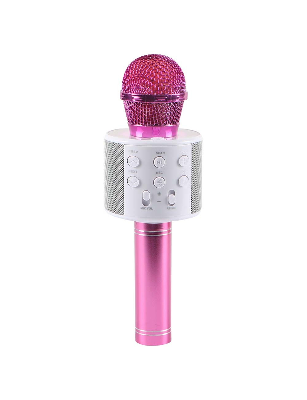 WS-858 WIRELESS MICROPHONE WITH HIFI SPEAKER