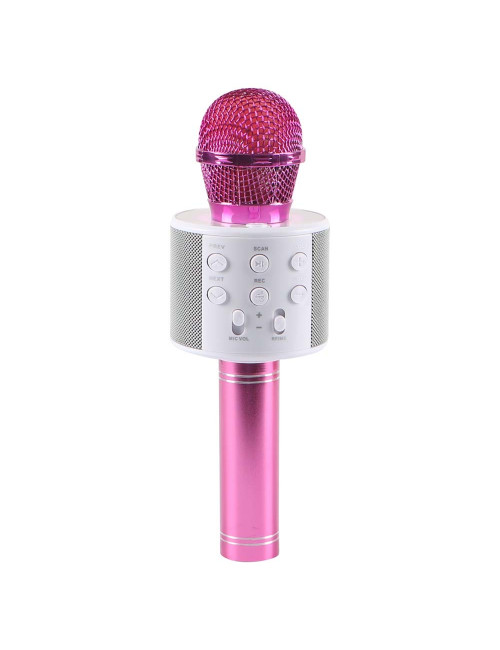 WS-858 WIRELESS MICROPHONE WITH HIFI SPEAKER