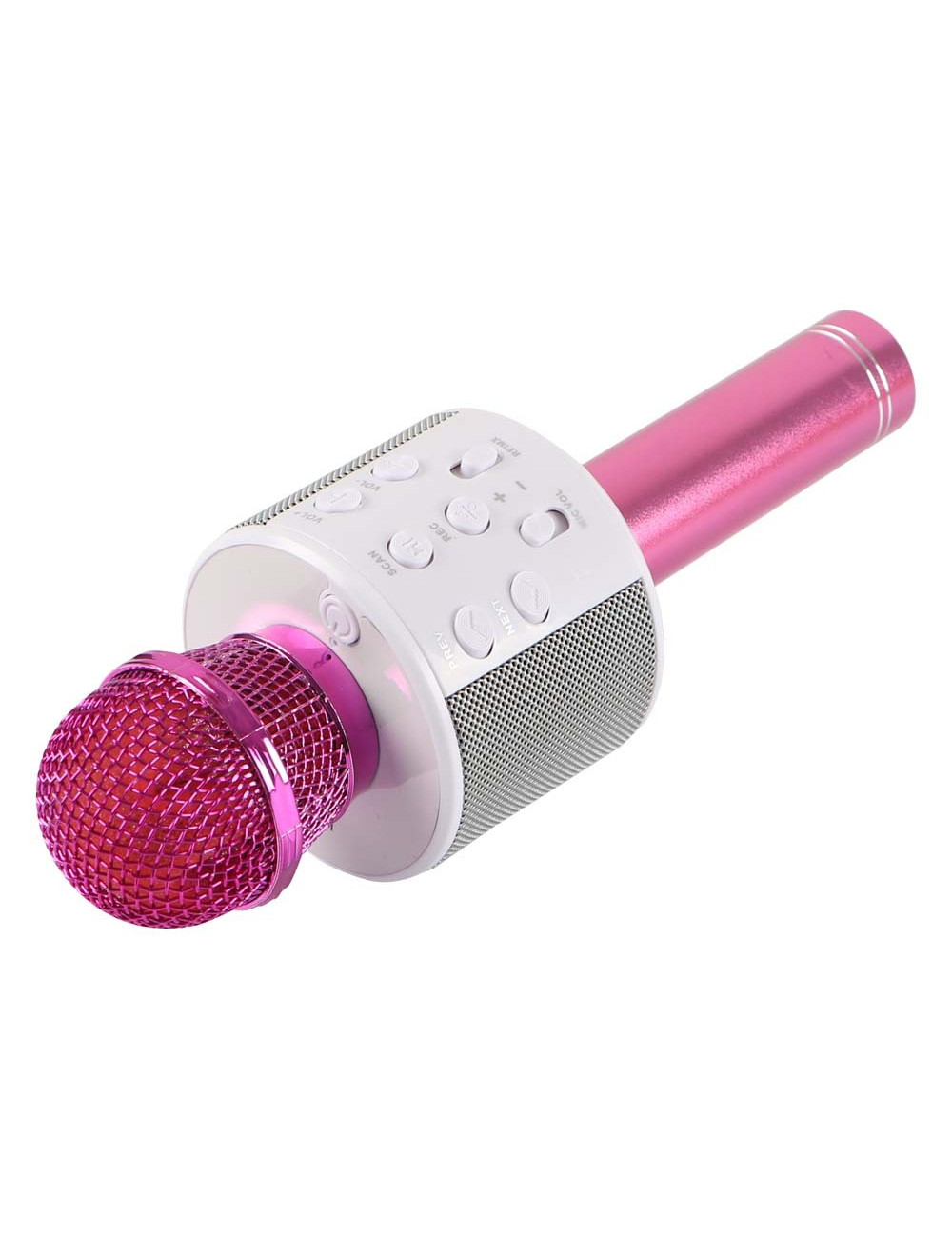 WS-858 WIRELESS MICROPHONE WITH HIFI SPEAKER